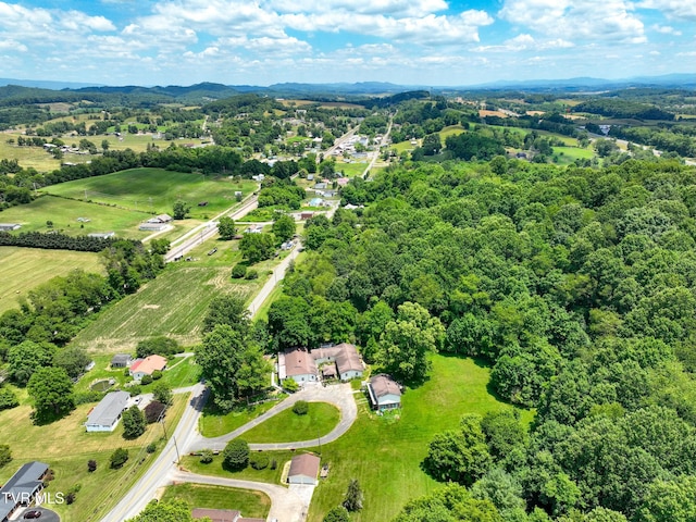 28248 Hillman Hwy, Meadowview, VA 24361 - photo 110