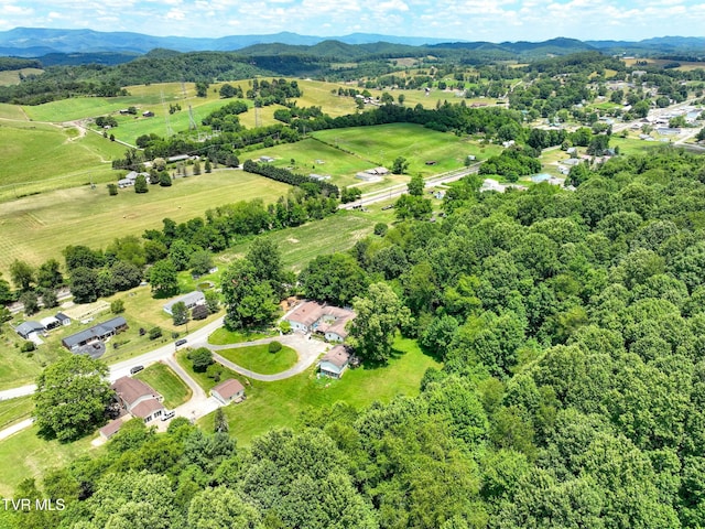 28248 Hillman Hwy, Meadowview, VA 24361 - photo 112