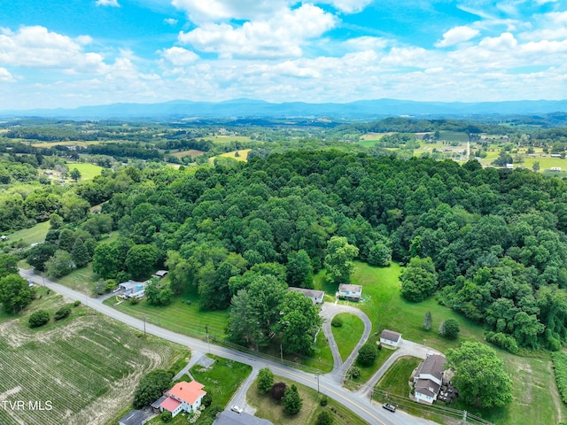 28248 Hillman Hwy, Meadowview, VA 24361 - photo 120