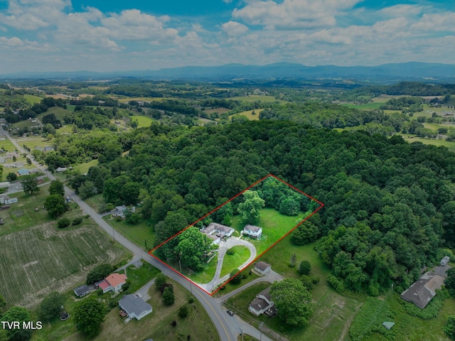 28248 Hillman Hwy, Meadowview, VA 24361 - photo 7