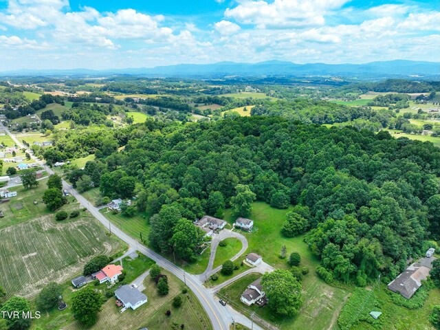 28248 Hillman Hwy, Meadowview, VA 24361 - photo 122