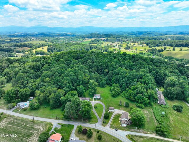 28248 Hillman Hwy, Meadowview, VA 24361 - photo 123