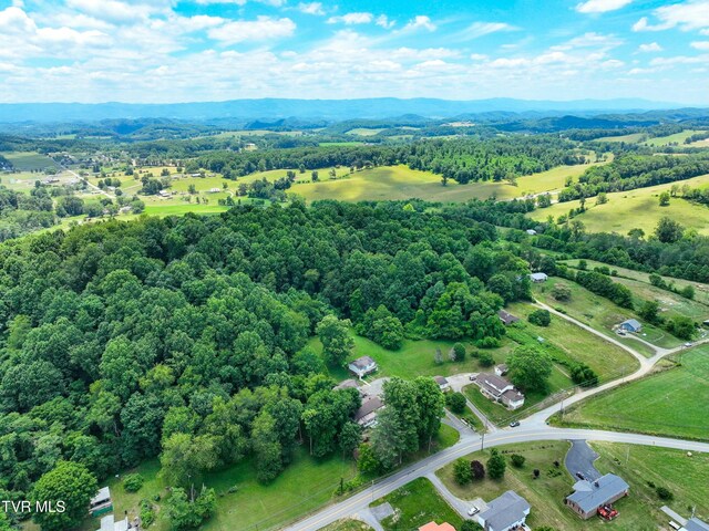 28248 Hillman Hwy, Meadowview, VA 24361 - photo 124