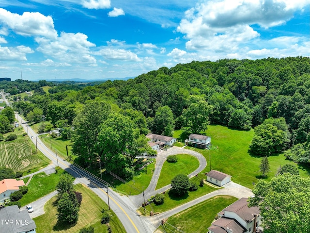28248 Hillman Hwy, Meadowview, VA 24361 - photo 8