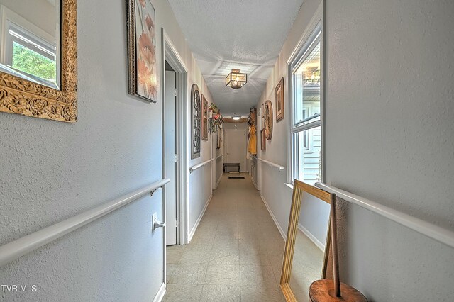 28248 Hillman Hwy, Meadowview, VA 24361 - photo 69
