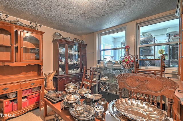 28248 Hillman Hwy, Meadowview, VA 24361 - photo 83