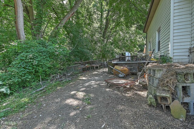 28248 Hillman Hwy, Meadowview, VA 24361 - photo 101