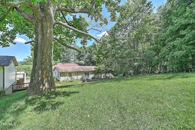 28248 Hillman Hwy, Meadowview, VA 24361 - photo 107