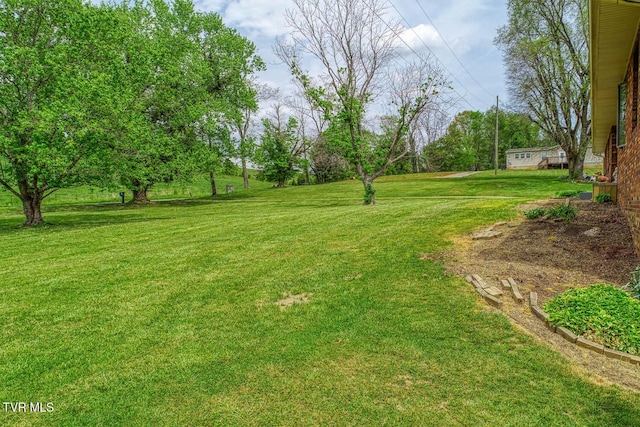 view of yard