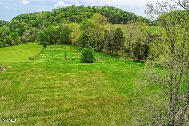 view of nature