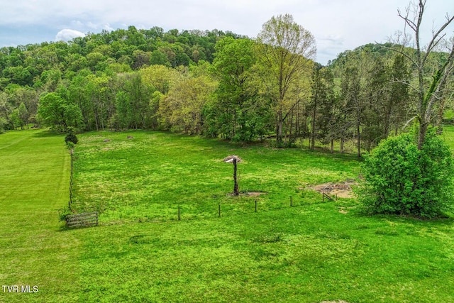 view of yard with a wooded view