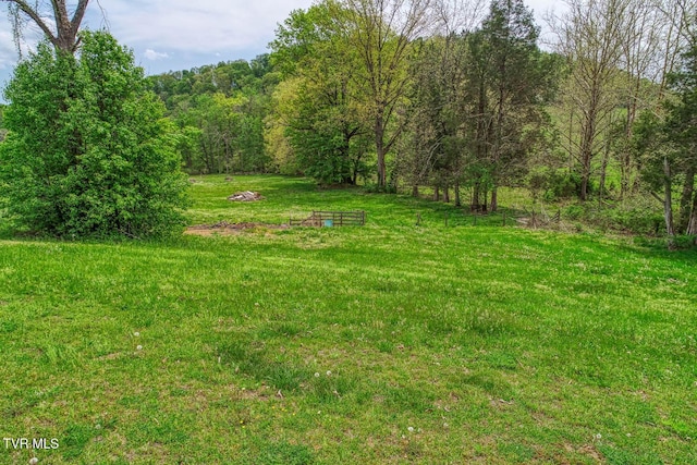 view of yard featuring a wooded view
