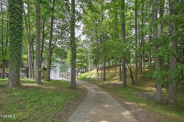521 Baywood Dr, Piney Flats, TN 37686 - surrounding community with a water view
