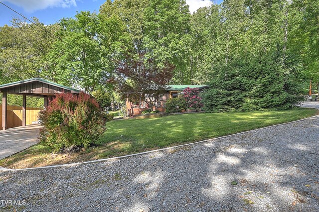 521 Baywood Dr, Piney Flats, TN 37686 - view of yard with driveway and an attached carport