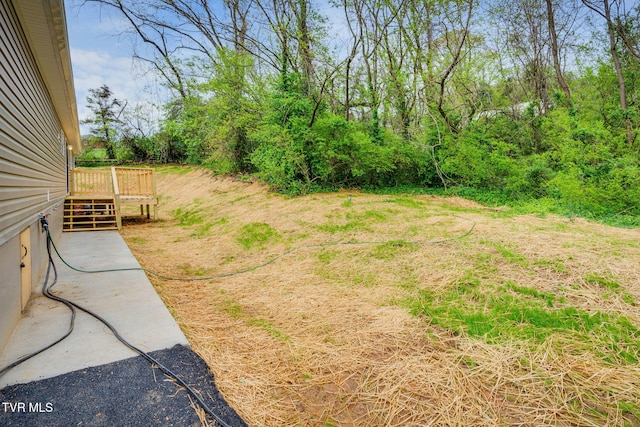 view of yard featuring a wooden deck