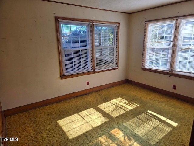 1142 Jackson Hollow Rd, Kingsport, TN 37663 - photo 38