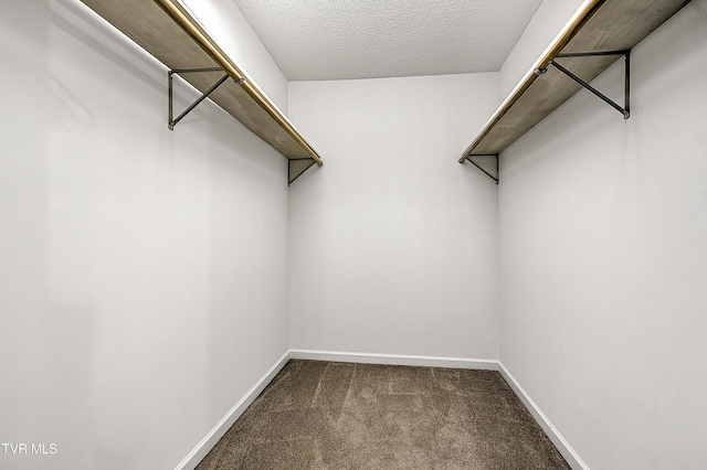 walk in closet featuring carpet