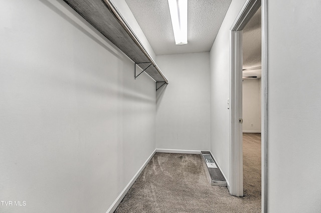walk in closet with carpet