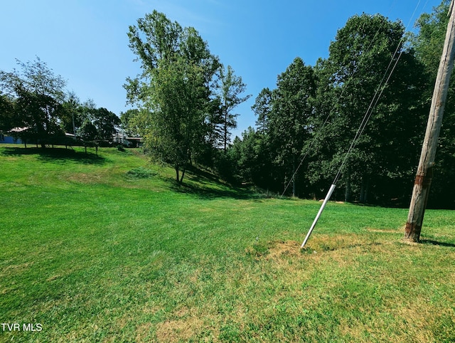 2509 Dc Caney Ridge Rd, Clintwood, VA 24228 - view of yard