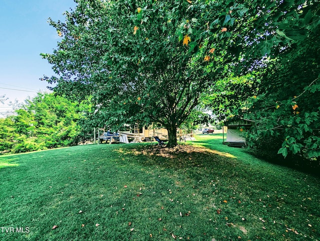 2509 Dc Caney Ridge Rd, Clintwood, VA 24228 - view of yard