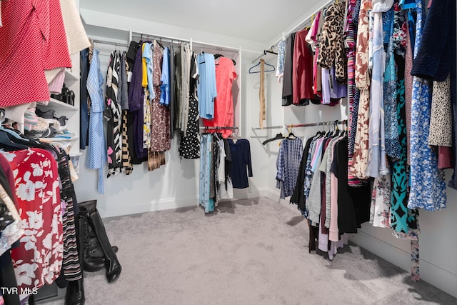 1177 Lemongrass Dr, Jonesborough, TN 37659 - spacious closet featuring carpet flooring