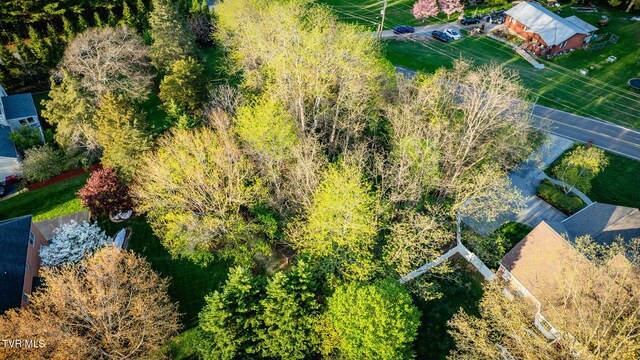 620 W Mountainview Rd, Johnson City, TN 37604 - photo 5