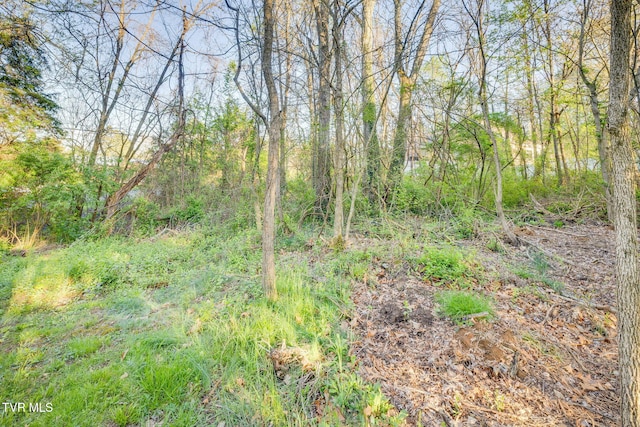 620 W Mountainview Rd, Johnson City, TN 37604 - photo 14