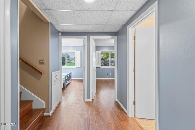 909 Millercrest Dr, Johnson City, TN 37604 - corridor with baseboards, a paneled ceiling, and hardwood / wood-style floors