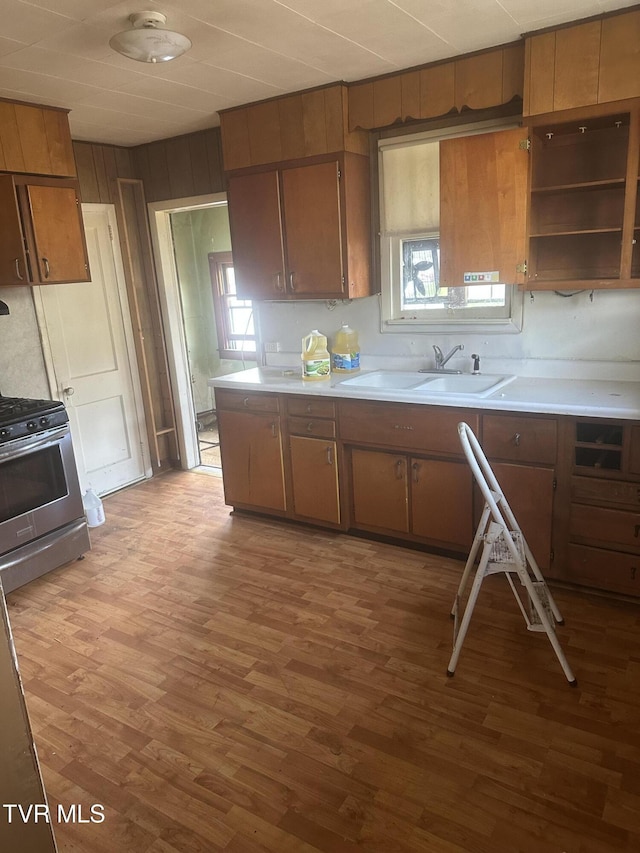 714 Fairview Ave, Kingsport, TN 37660 - kitchen featuring a sink, light countertops, a wealth of natural light, stainless steel range with gas cooktop, and light wood finished floors
