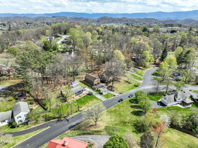 216 Forest Hills Dr, Bristol, TN 37620 - drone / aerial view featuring a wooded view and a mountain view