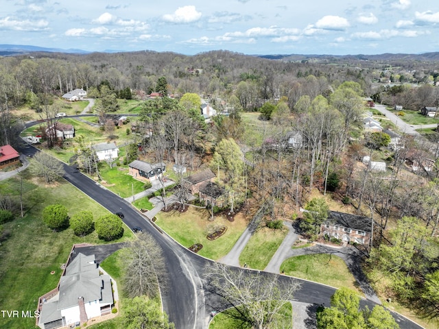 216 Forest Hills Dr, Bristol, TN 37620 - aerial view featuring a wooded view