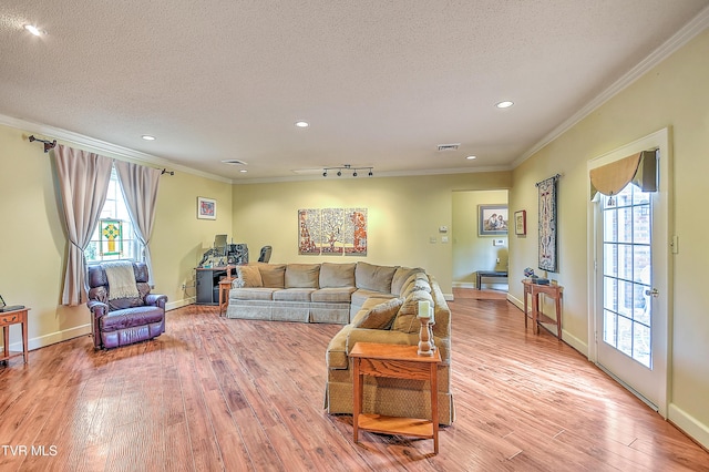 216 Forest Hills Dr, Bristol, TN 37620 - living room featuring ornamental molding, a textured ceiling, light wood-type flooring, and a healthy amount of sunlight