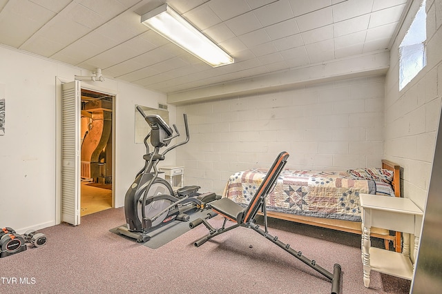 216 Forest Hills Dr, Bristol, TN 37620 - workout room featuring carpet floors