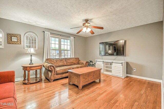 120 Sunnyfield Dr, Blountville, TN 37617 - photo 41
