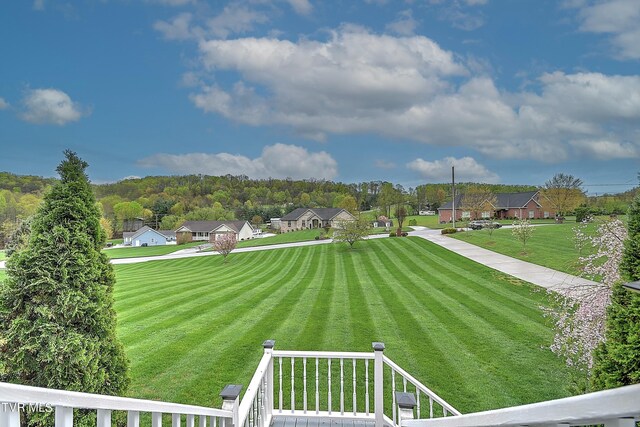 120 Sunnyfield Dr, Blountville, TN 37617 - photo 48