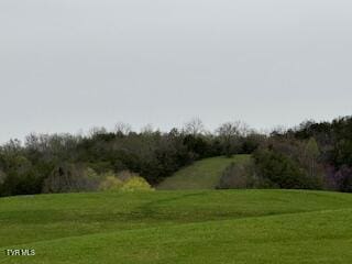 000 Robert Harmon Rd, Greeneville, TN 37745 - photo 1