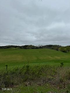 000 Robert Harmon Rd, Greeneville, TN 37745 - photo 9