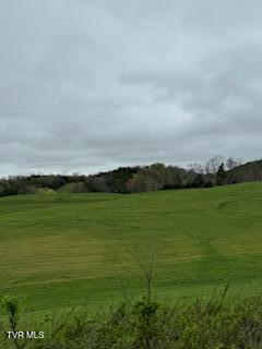 000 Robert Harmon Rd, Greeneville, TN 37745 - photo 7