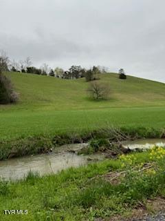 000 Robert Harmon Rd, Greeneville, TN 37745 - photo 4