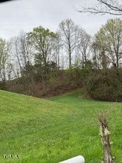 000 Robert Harmon Rd, Greeneville, TN 37745 - photo 2