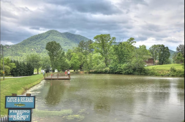 water view featuring a mountain view
