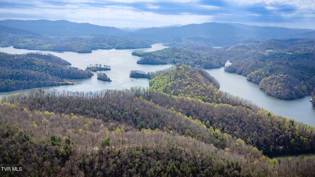 20/AC TBD E Of Highway 67, Butler, TN 37640 - photo 1