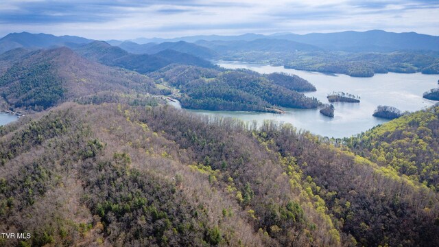 20/AC TBD E Of Highway 67, Butler, TN 37640 - photo 4