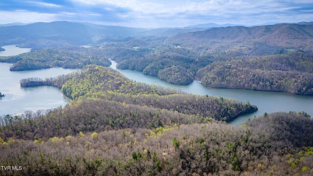 20/AC TBD E Of Highway 67, Butler, TN 37640 - photo 5