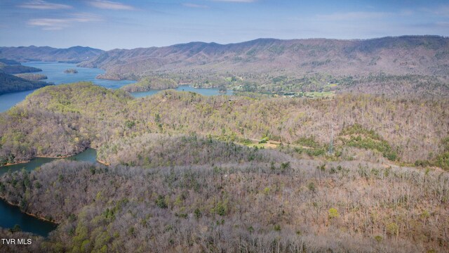 20/AC TBD E Of Highway 67, Butler, TN 37640 - photo 7