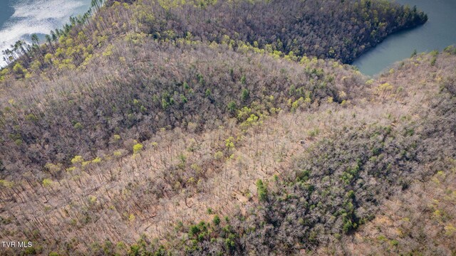 20/AC TBD E Of Highway 67, Butler, TN 37640 - photo 9