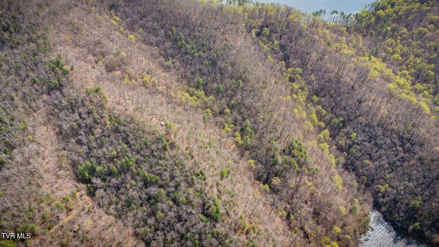 20/AC TBD E Of Highway 67, Butler, TN 37640 - photo 10