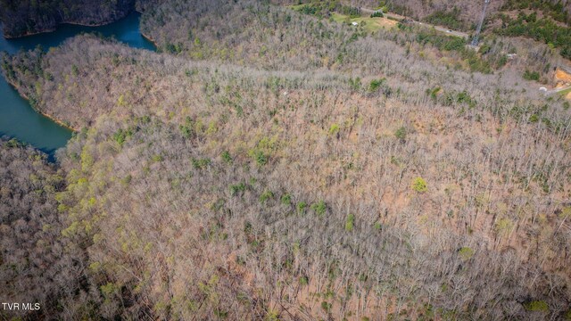 20/AC TBD E Of Highway 67, Butler, TN 37640 - photo 11
