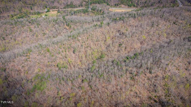 20/AC TBD E Of Highway 67, Butler, TN 37640 - photo 12