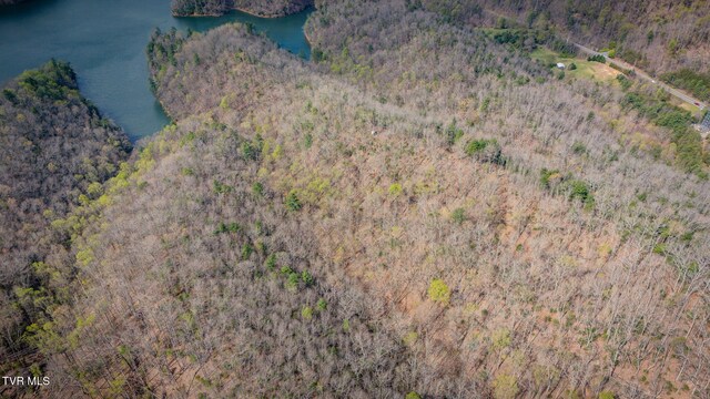 20/AC TBD E Of Highway 67, Butler, TN 37640 - photo 13